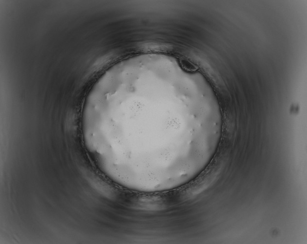 X0000102260357200808081406