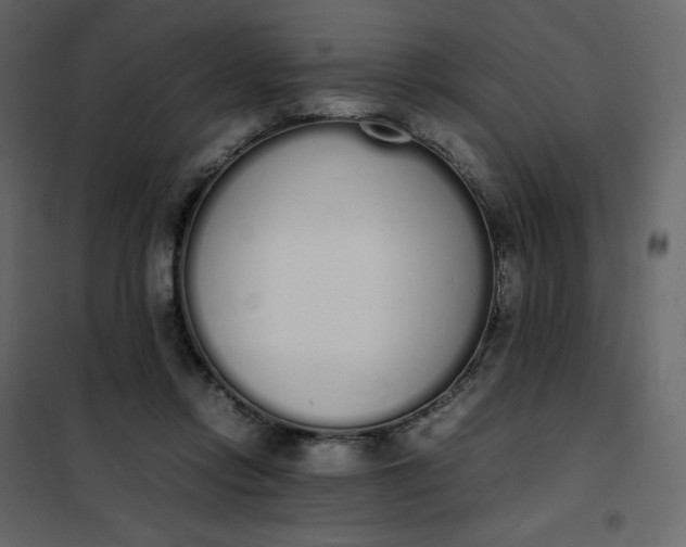 X0000102260358200808081406