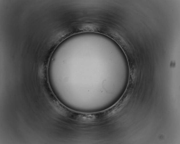 X0000102260359200808081406