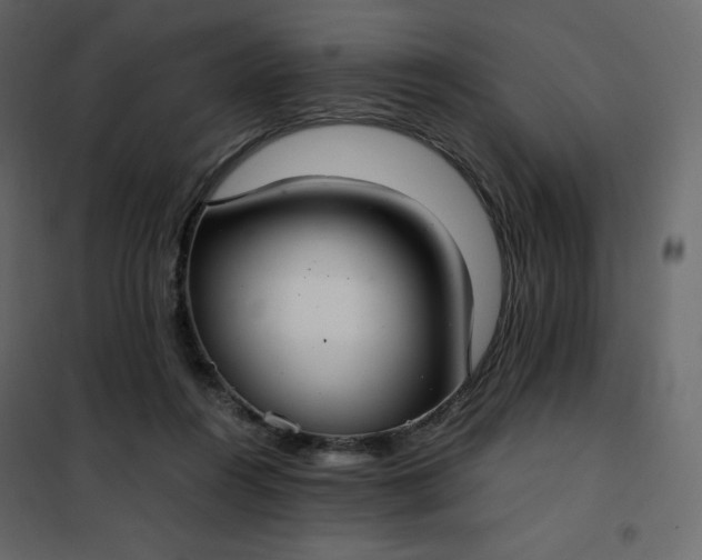 X0000102260360200808081406