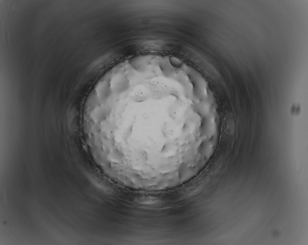 X0000102260361200808081407