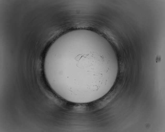 X0000102260362200808081407