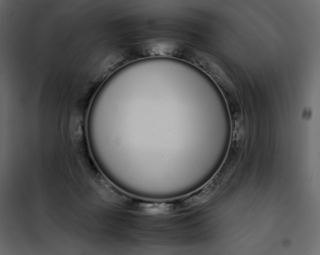 X0000102260363200808081407