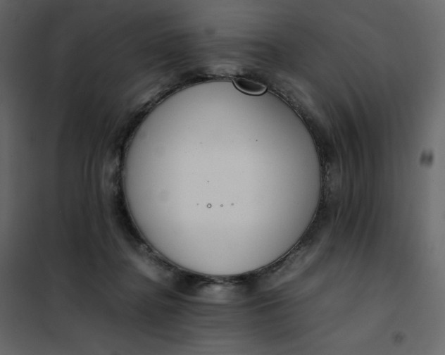 X0000102260364200808081407