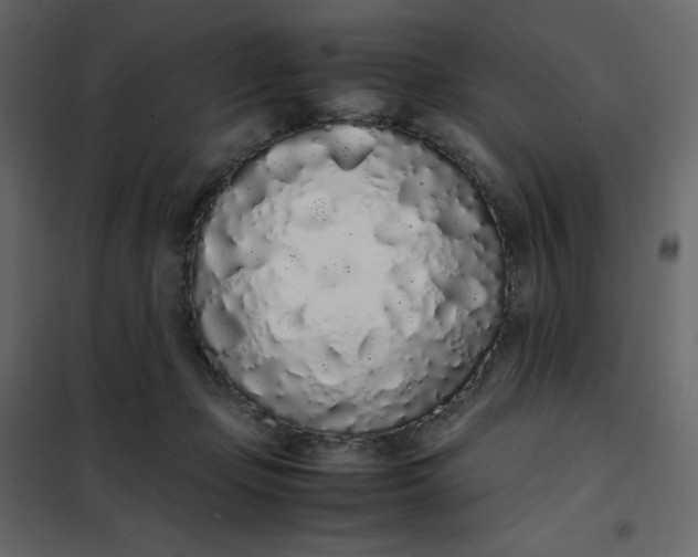 X0000102260365200808081407