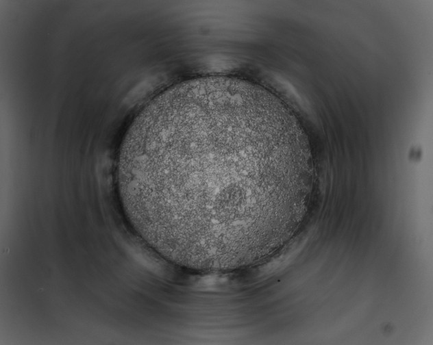 X0000102260366200808081407