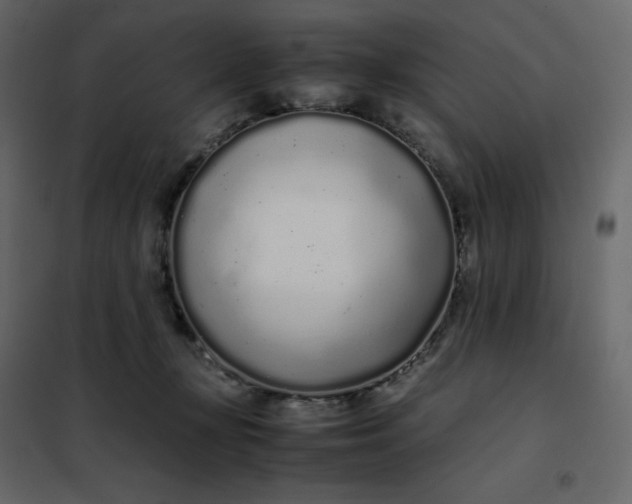 X0000102260367200808081407