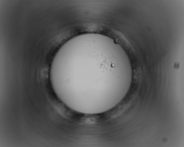 X0000102260368200808081407