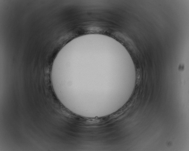 X0000102260369200808081407