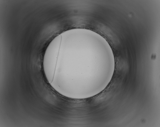 X0000102260370200808081407