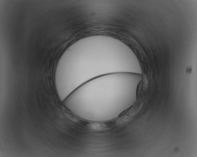 X0000102260372200808081407