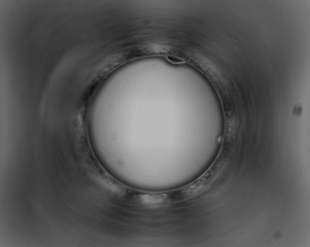 X0000102260373200808081407