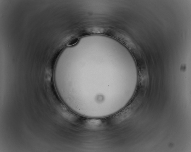 X0000102260374200808081407