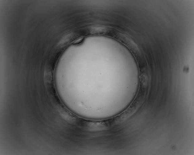 X0000102260375200808081407