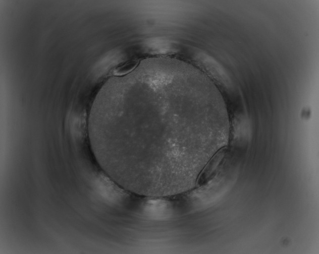 X0000102260376200808081407