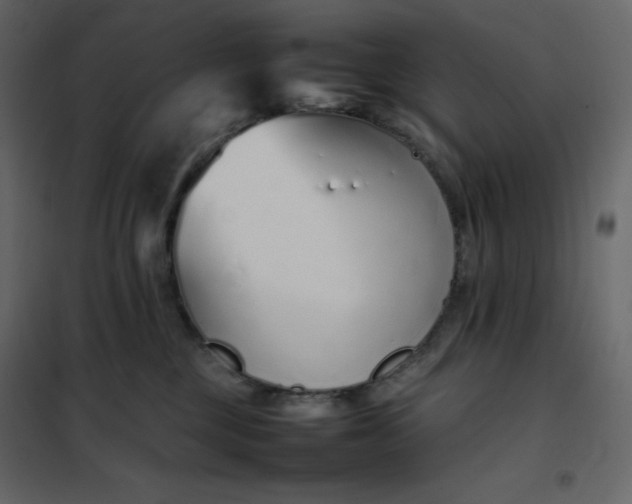 X0000102260377200808081407