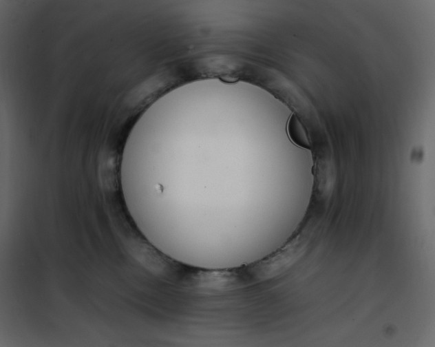 X0000102260378200808081407