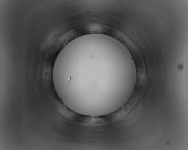 X0000102260379200808081407