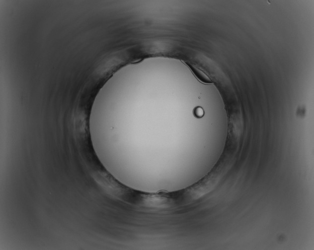 X0000102260380200808081407