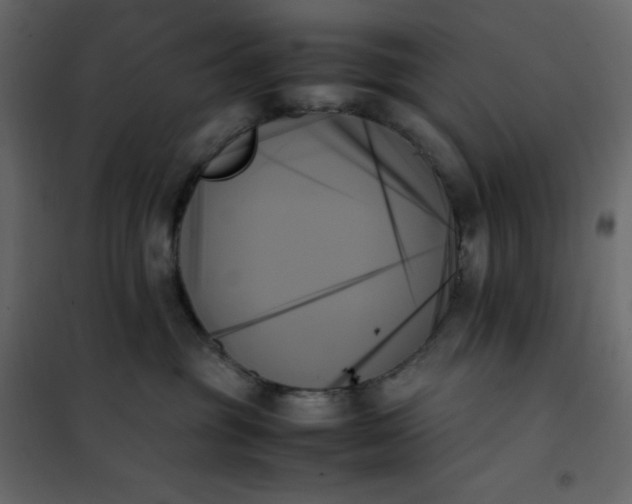 X0000102260381200808081407