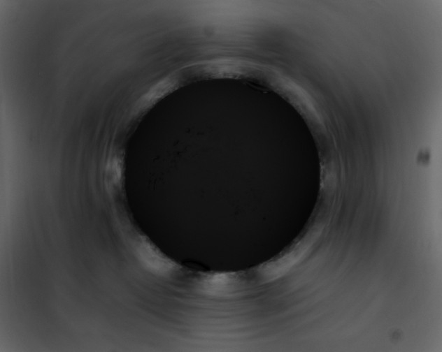 X0000102260382200808081407