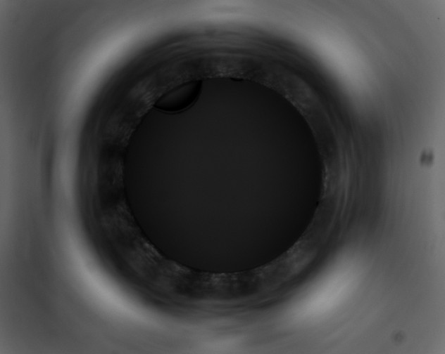 X0000102260383200808081407