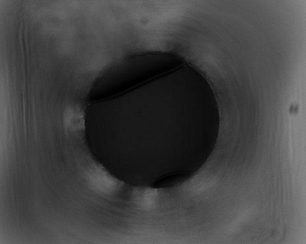 X0000102260384200808081407