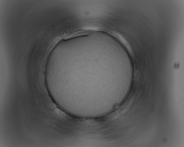 X0000102260385200808081406