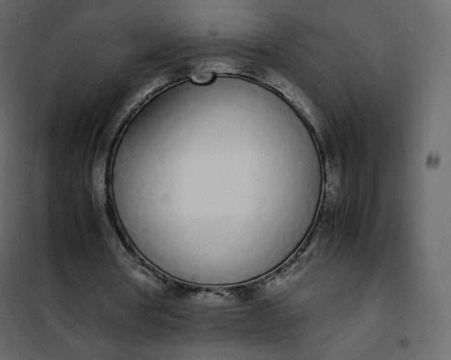 X0000102260386200808081406