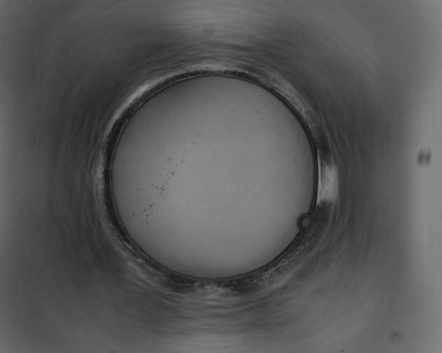 X0000102260387200808081406