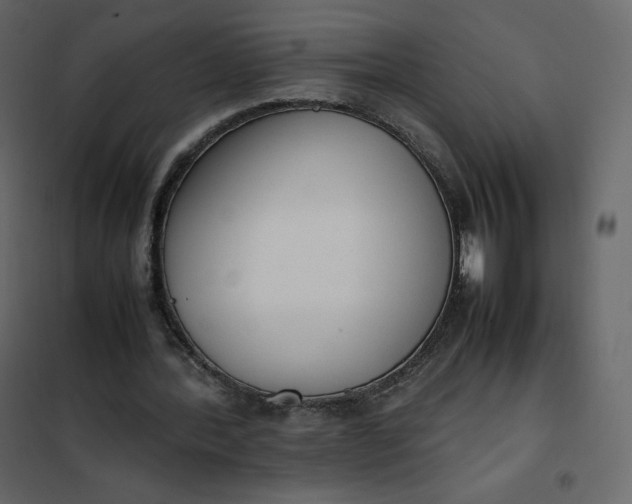 X0000102260388200808081406