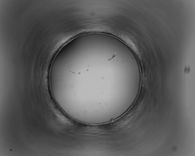 X0000102260389200808081406