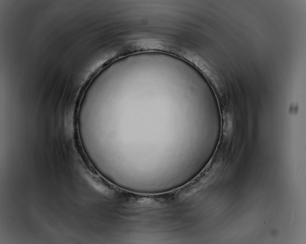 X0000102260390200808081406