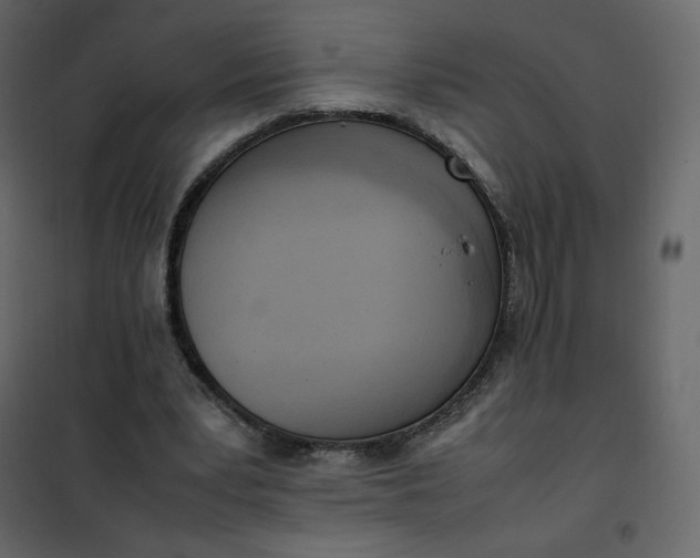 X0000102260391200808081406