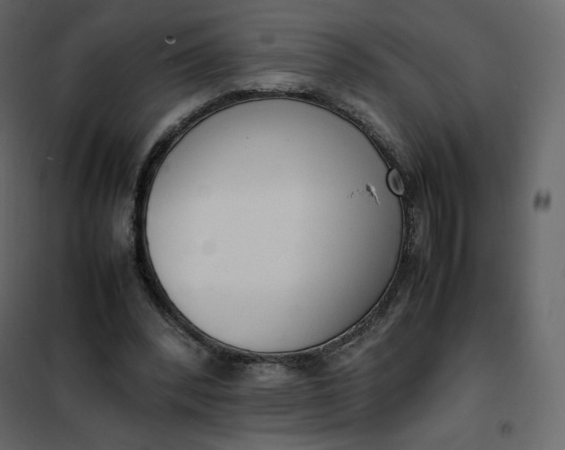 X0000102260392200808081406