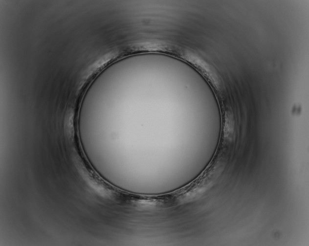 X0000102260394200808081406