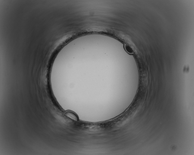 X0000102260395200808081406