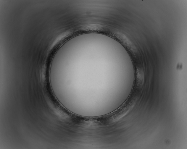 X0000102260396200808081406