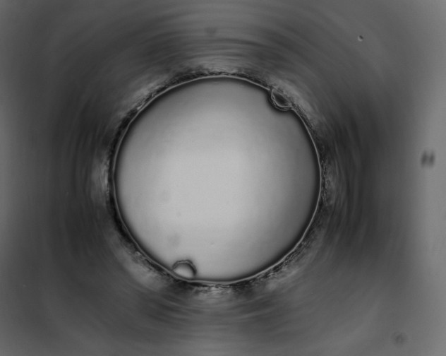 X0000102260398200808081406