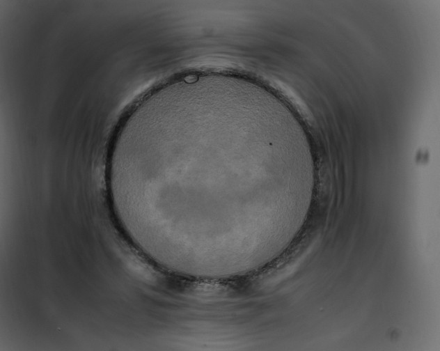 X0000102260399200808081406