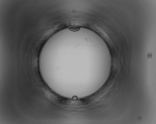 X0000102260401200808081406