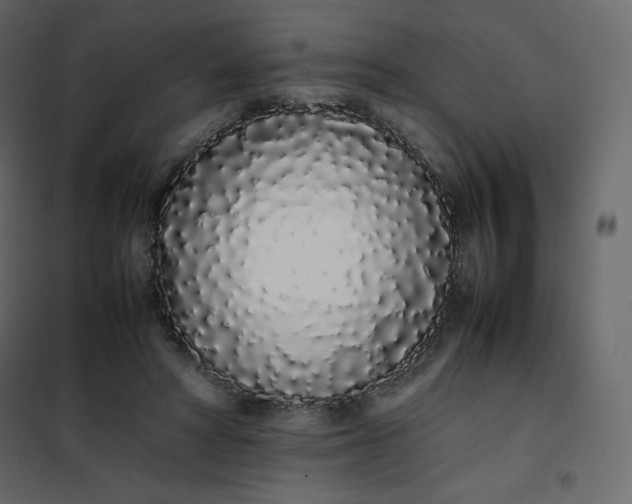 X0000102260402200808081406