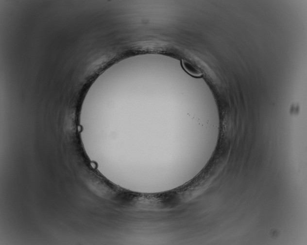 X0000102260403200808081406