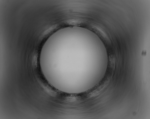 X0000102260404200808081406