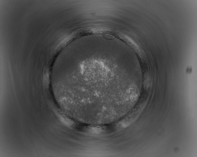 X0000102260405200808081406