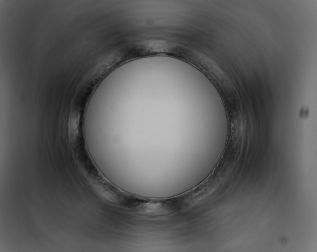 X0000102260406200808081406