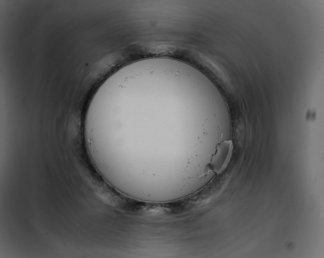 X0000102260407200808081406