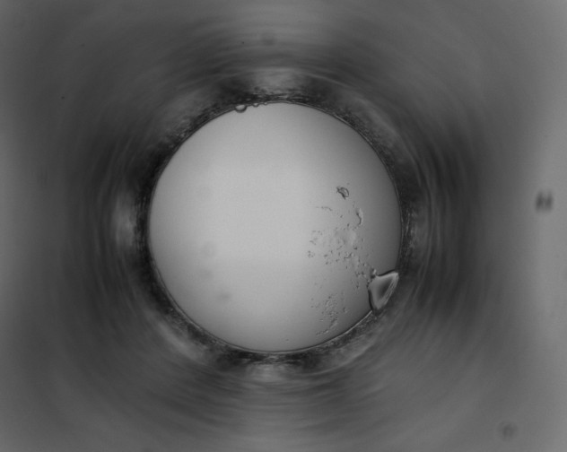 X0000102260408200808081406