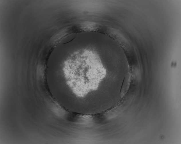 X0000102260409200808081406