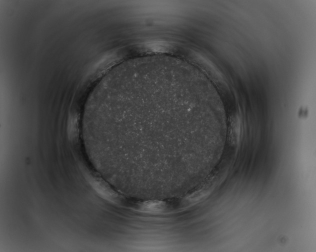 X0000102260410200808081406